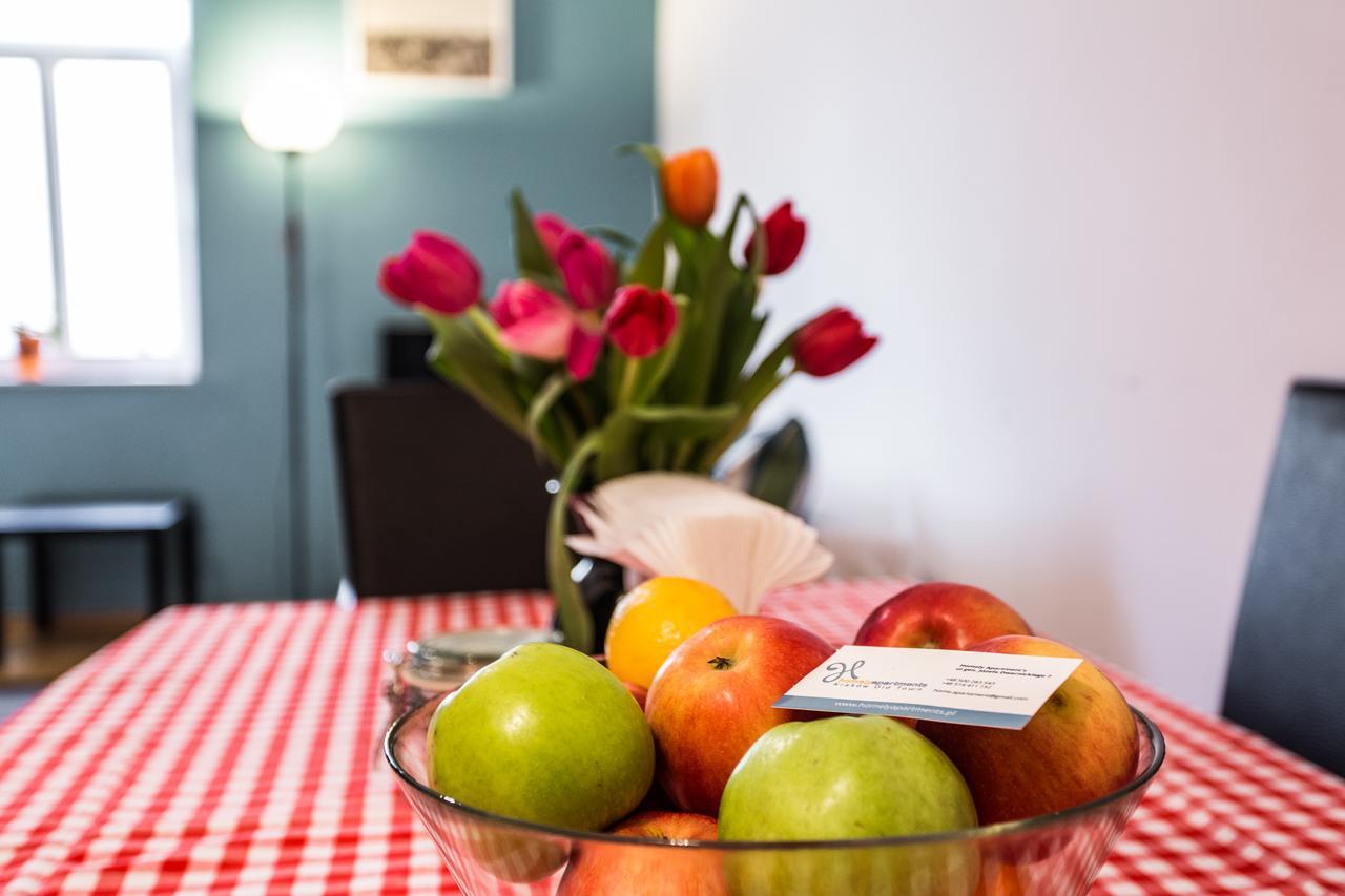 Homely Apartment'S Old Town Krakow Bagian luar foto